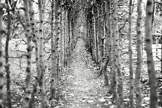 Foto do arquivo: fornecida por 【pousadas e hoteis na praia do cassino】