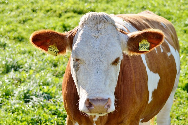 Foto do arquivo: fornecida por 【resultado loteria dominicana nacional leidsa loteka real y americana】