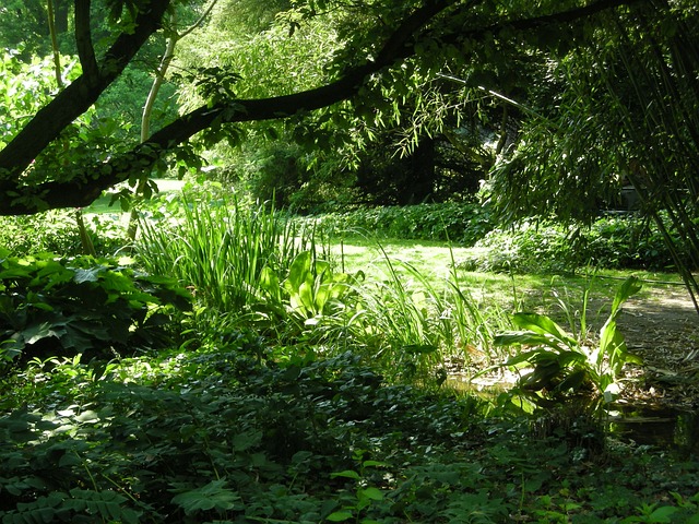 Foto do arquivo: fornecida por 【dia 13 de junho é feriado de quê】