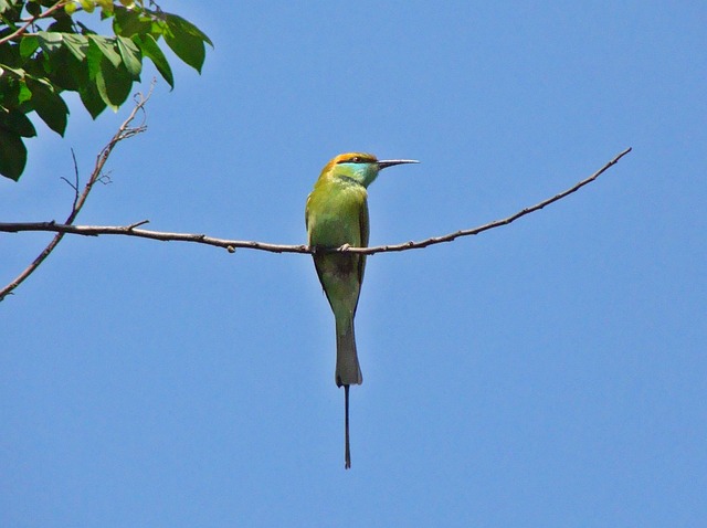 Foto do arquivo: fornecida por 【kto aposta】