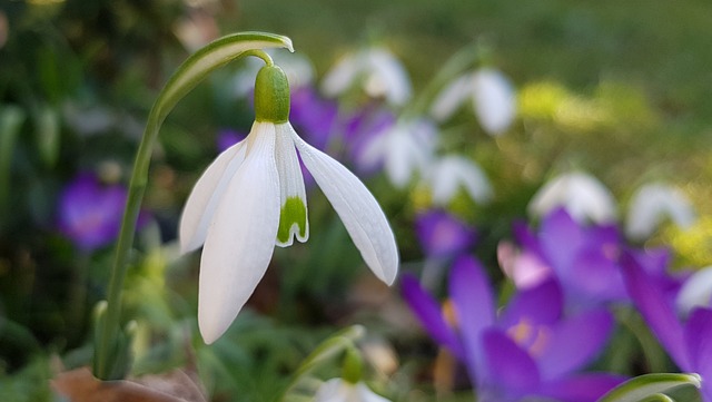 morada da ana cassino