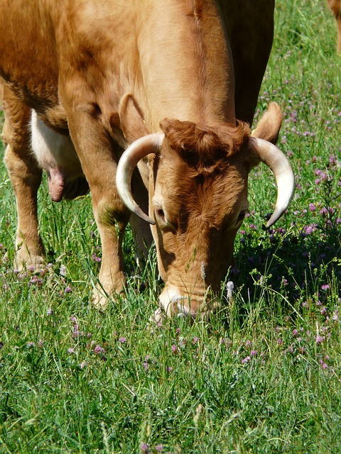 Foto do arquivo: fornecida por 【como ser cambista bet365】