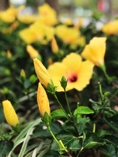 Foto do arquivo: fornecida por 【jacaré puxa o que no jogo do bicho】