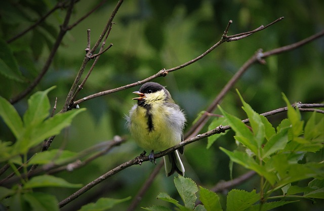 Foto do arquivo: fornecida por 【rtp wild bandito】