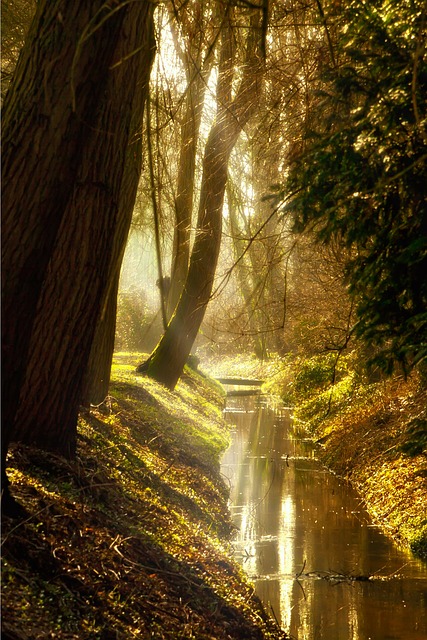 terrenos a venda no cassino rio grande