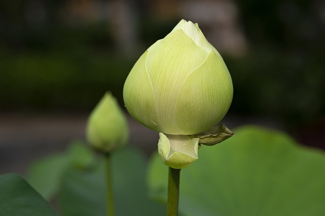 Foto do arquivo: fornecida por 【resultado lotofácil 2052】