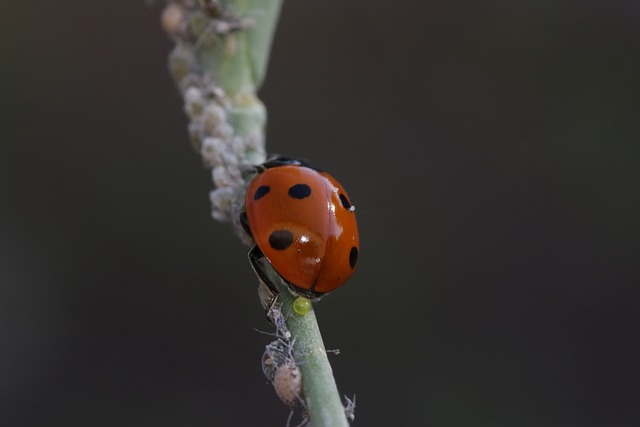 Foto do arquivo: fornecida por 【lotofácil vinte e seis trinta e quatro】