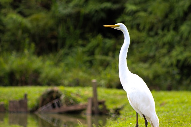 Foto do arquivo: fornecida por 【lsi777】