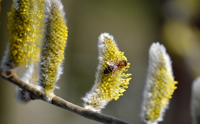 Foto do arquivo: fornecida por 【brabet bônus de cadastro】