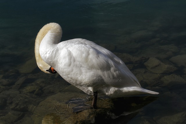 Foto do arquivo: fornecida por 【resultado da lotofácil mês de setembro】