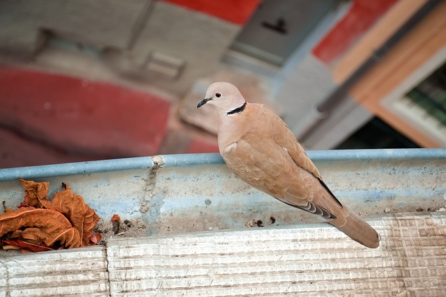 Foto do arquivo: fornecida por 【resultado do jogo do bicho da paraíba de 3 45】