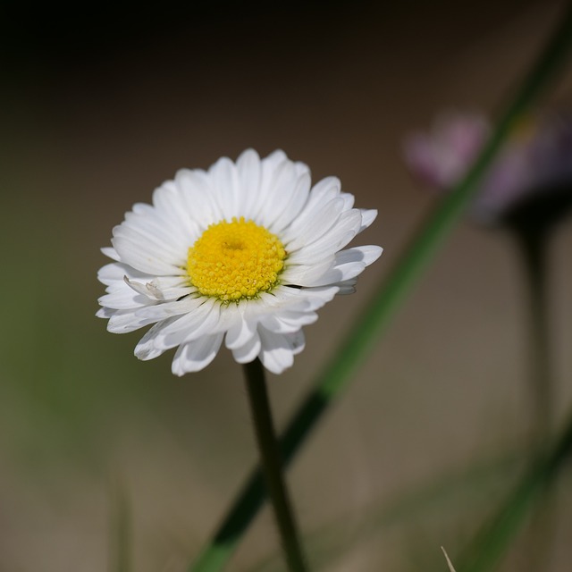 Foto do arquivo: fornecida por 【bingo players bust this】