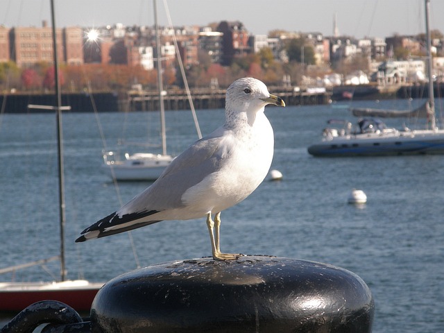 Foto do arquivo: fornecida por 【resultado do jogo do bicho de hoje da paraíba】