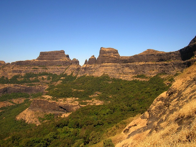 jogos de motao