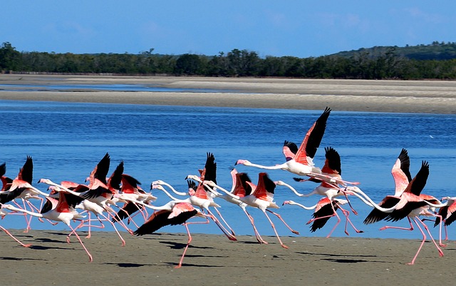 Serviço de transações seguras Tigre