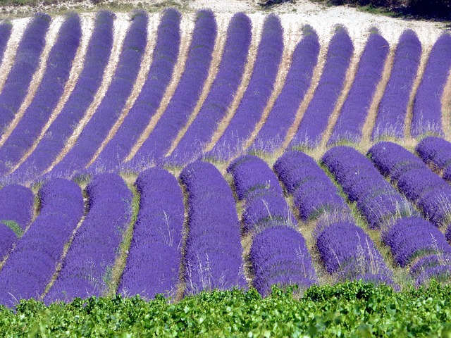 cassino com bônus grátis no cadastro sem depósito