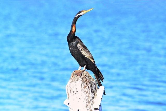 Foto do arquivo: fornecida por 【três números na mega sena ganha alguma coisa】