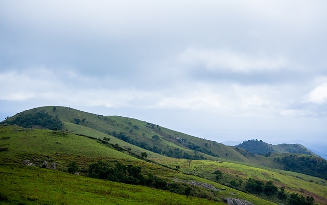 Foto do arquivo: fornecida por 【resultado da mega sena do dia sena】