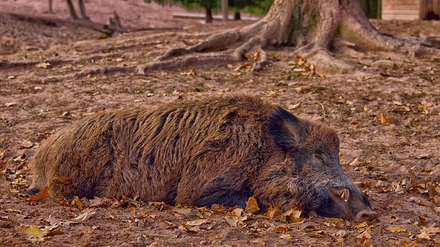 Foto do arquivo: fornecida por 【Plataforma de recompensas Tigrinho】