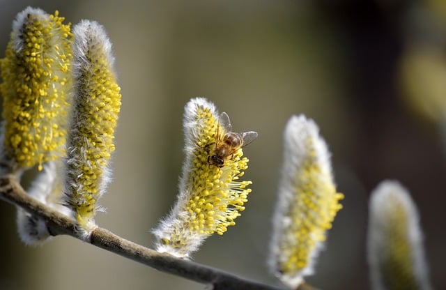 Foto do arquivo: fornecida por 【quanto ganha um fisioterapeuta】