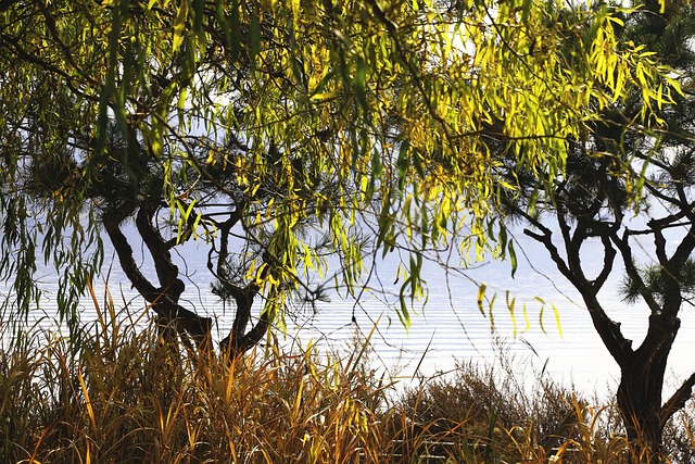 Foto do arquivo: fornecida por 【Lançamento da aposta Tigrinho】