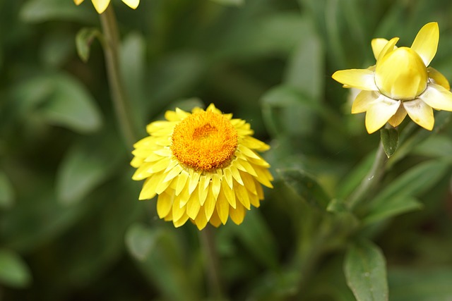 Foto do arquivo: fornecida por 【the plural of dice】