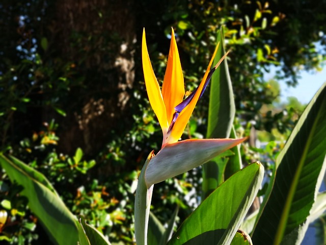 Foto do arquivo: fornecida por 【resultado quina 5637】