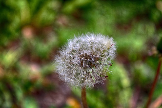 Foto do arquivo: fornecida por 【qual a fortuna do luva de pedreiro】