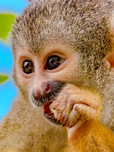 Foto do arquivo: fornecida por 【Resultado paulista do bicho】