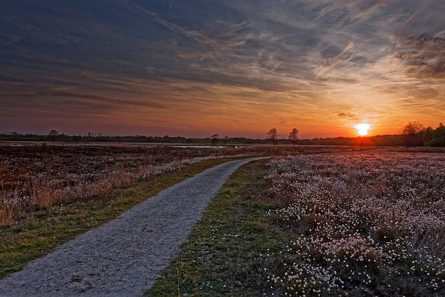 Foto do arquivo: fornecida por 【the florida lottery】