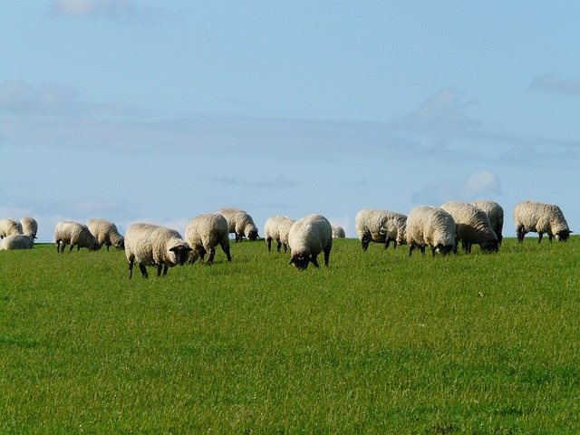 Foto do arquivo: fornecida por 【22 rodadas grátis no cadastro】