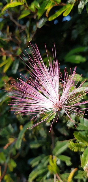 Foto do arquivo: fornecida por 【bet 365】