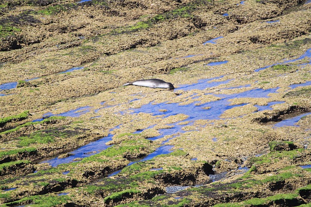 Foto do arquivo: fornecida por 【estrela bet.com.br】