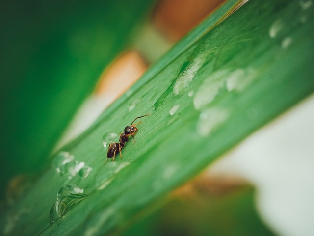 Foto do arquivo: fornecida por 【bolao quina valor】