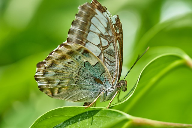 Foto do arquivo: fornecida por 【2501 mega sena】