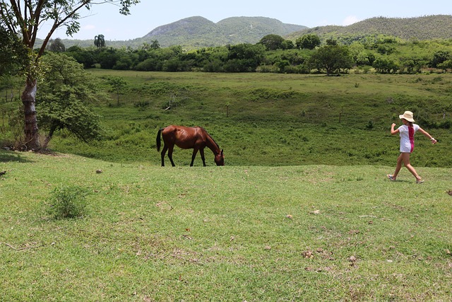 Foto do arquivo: fornecida por 【slot bri 24 jam】