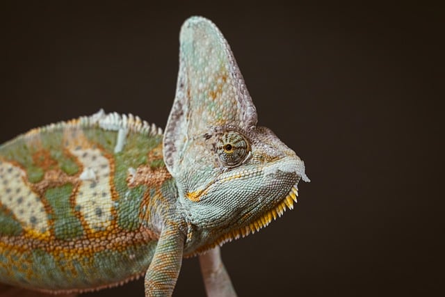 Foto do arquivo: fornecida por 【resultado loteria federal hoje bicho】