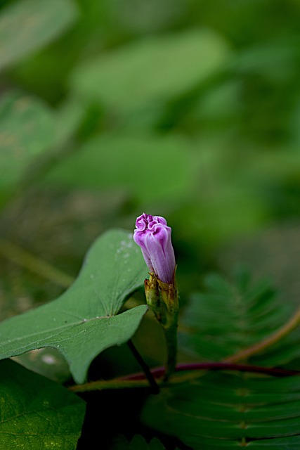 Foto do arquivo: fornecida por 【blaze entrar na minha conta】