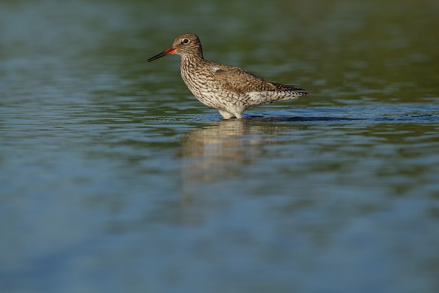 Foto do arquivo: fornecida por 【qual é o prêmio da mega sena de amanhã】