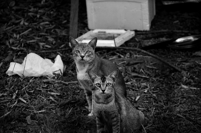 Foto do arquivo: fornecida por 【concurso da lotofácil do dia 27】