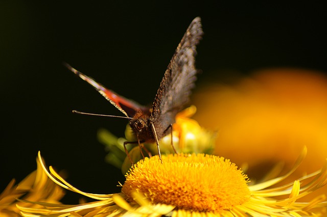 Foto do arquivo: fornecida por 【resultado da lotofacil e quina de hoje】