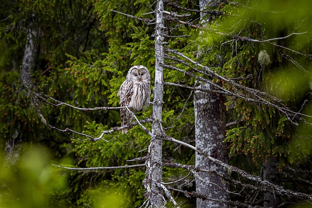 Foto do arquivo: fornecida por 【888pg】