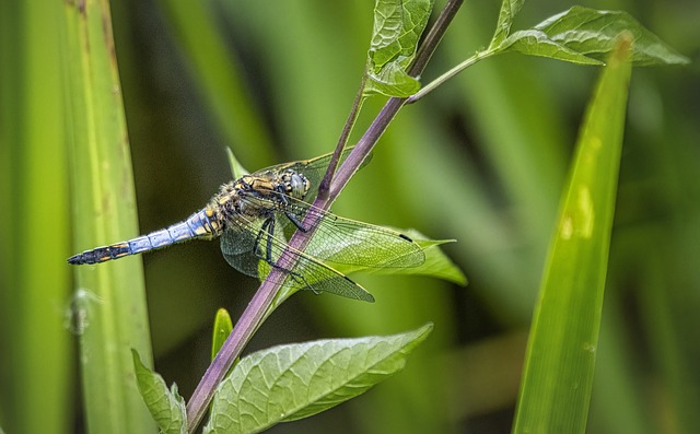 Foto do arquivo: fornecida por 【resultado da lotofácil 3 de julho】