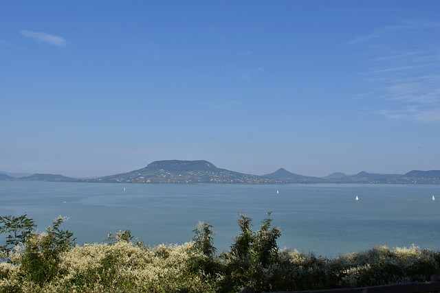 cassino uruguai punta del este