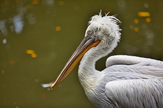 Foto do arquivo: fornecida por 【hilton honours】