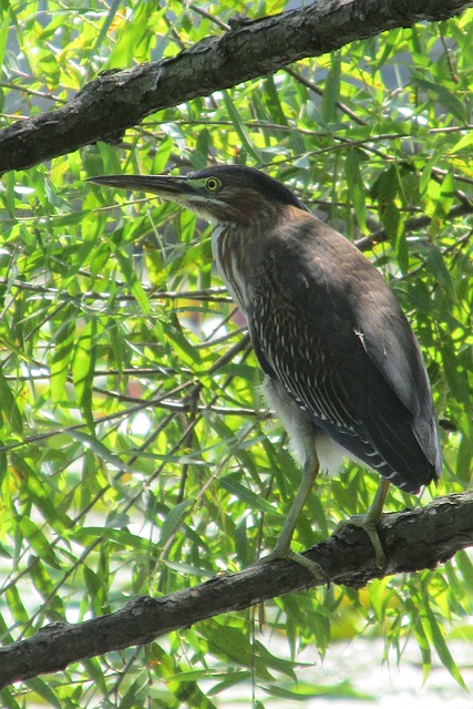 Foto do arquivo: fornecida por 【resultado da quina do dia 17 de agosto】