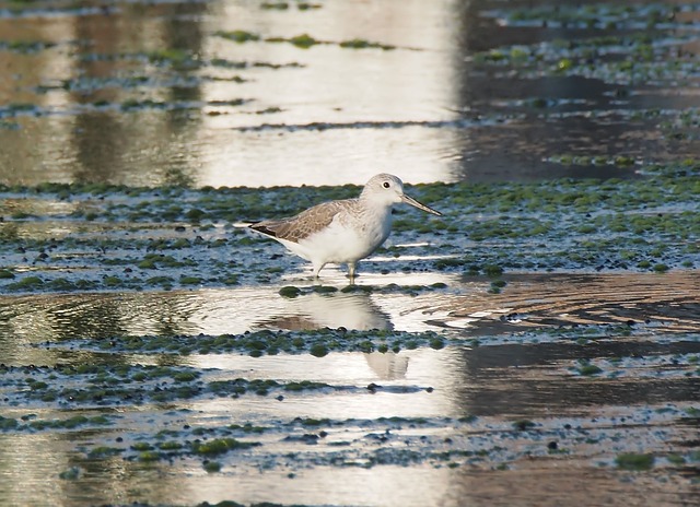 Foto do arquivo: fornecida por 【casoola】