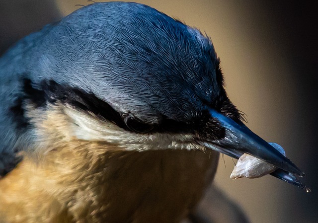 Foto do arquivo: fornecida por 【poker em belo horizonte】