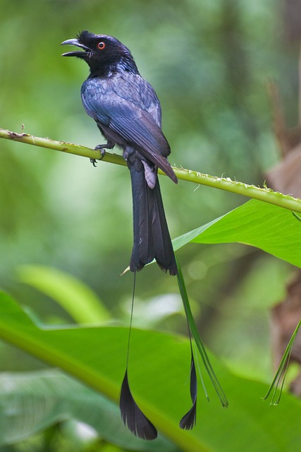 Foto do arquivo: fornecida por 【quina 6037】