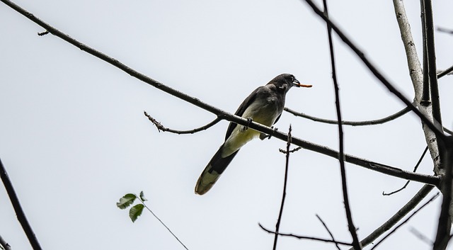 Foto do arquivo: fornecida por 【resultado da mega sena 2060】